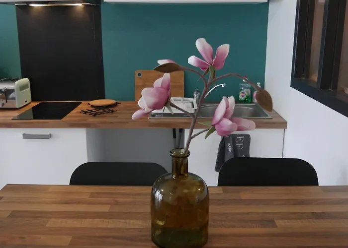 Joli Studio Dans Le Centre Ville De Brest